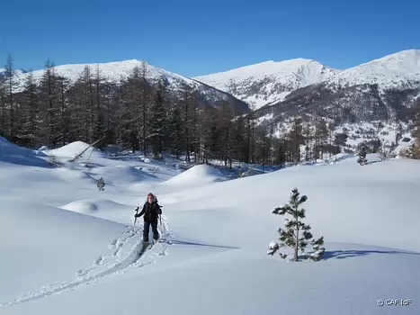 2010-01 Brianconnais