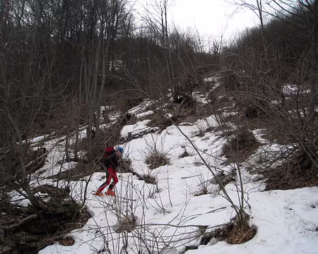 2010-03-25_31 Descente en face NE de l'Intermesoli