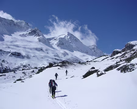 06 cette fois-ci, c'est bien parti pour la cuvée 2010