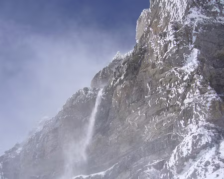 25 disrtibuteur de poudreuse