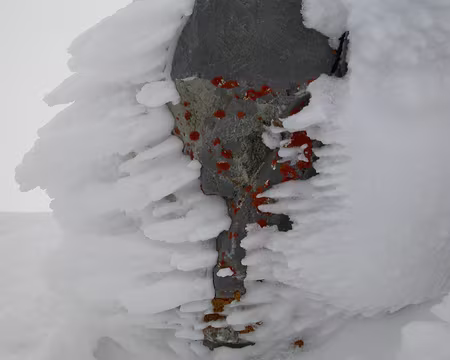 42 y-aurait-il des champignons?