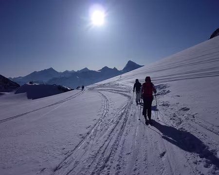 55 enfin le glacier !