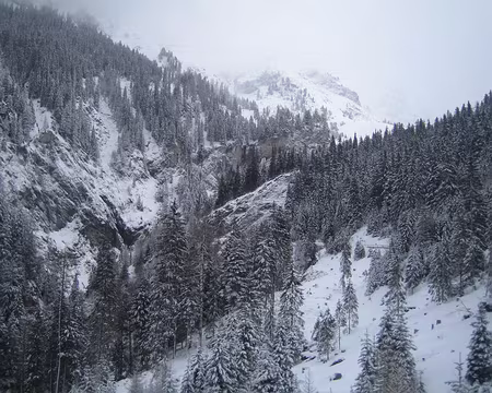 PXL112 en bus bien sur