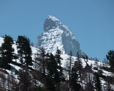 PXL075 Le seigneur des lieux