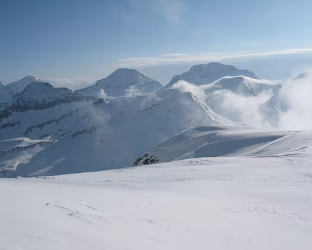2010-05-23_09 A la Selle du Ribon (3357 m)