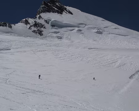 PXL122 retour au refuge