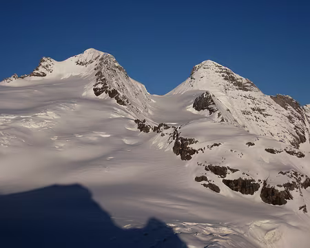 2010-06-05_07 Rosenlauigletscher, Mittelhorn et Wetterhorn