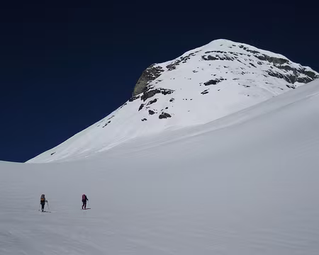 2010-06-05_15 Sous le Wetterhorn