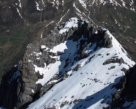 2010-06-05_24 Vue plongeante sur le Scheideggwetterhorn