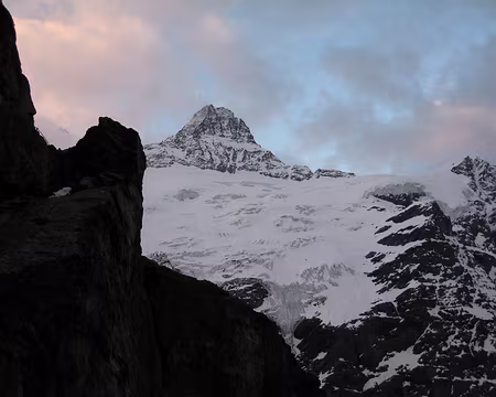 2010-06-06_03 Klein Schreckhorn