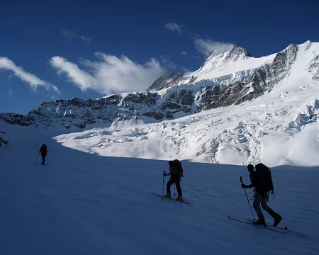 2010-06-06_08 Sous le Schreckhorn