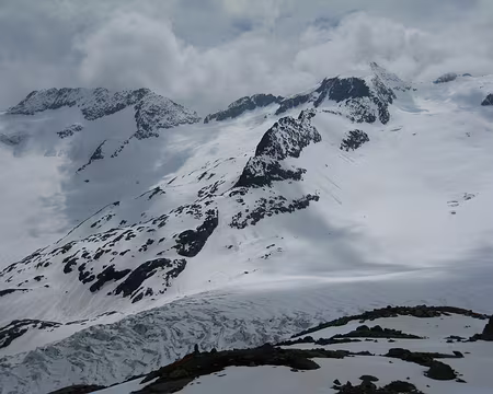 2010-06-06_31 Trifthorn, Ewigschneehorn et Gauligletscher
