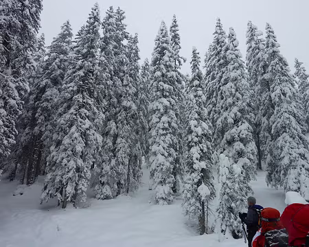 P1050378 Samedi, St Anthonien - Cruz