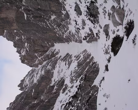 2011-01-26_05 Sous la Forcella delle Nevere