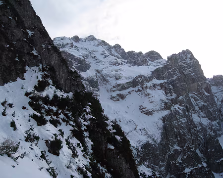 2011-01-26_25 Traversée sous la Torre Trieste