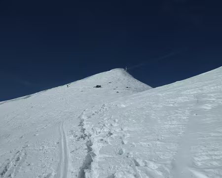 PXL030 Sommet Albristhorn