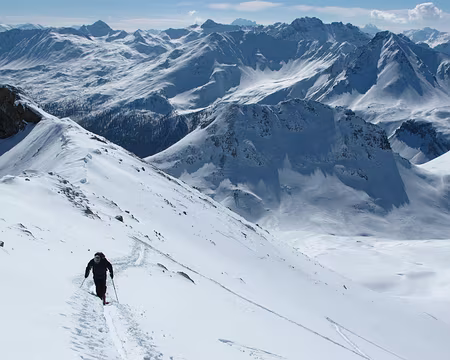 PXL012 Michel P presqu'au but !