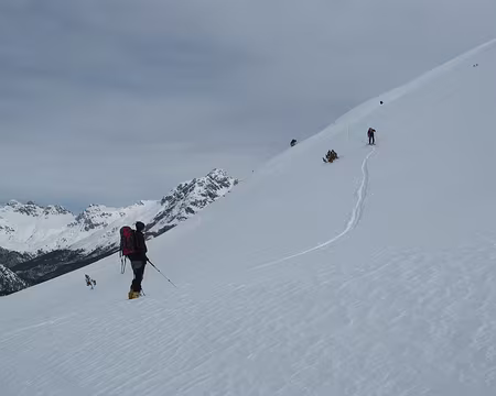 PXL035 attente et observation