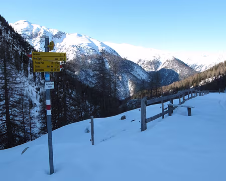 PXL058 Alp Laschadüra