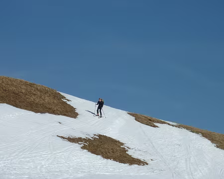 P1050996 en visant bien, ça le fait !