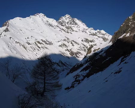 2011-03-09_09 Pizzo di Coca (3050 m)