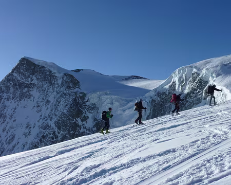 PXL016 744-sous le pigne d'arolla
