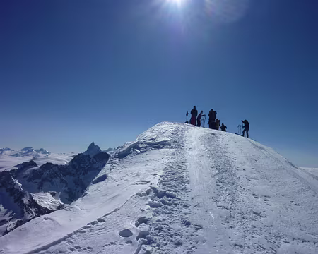 PXL018 751-le sommet pigne d'arolla-3790m