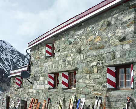 P1040110 Les peaux sèchent