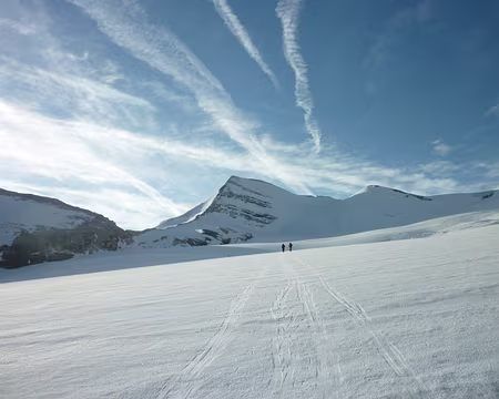 P1040131 Un long glacier