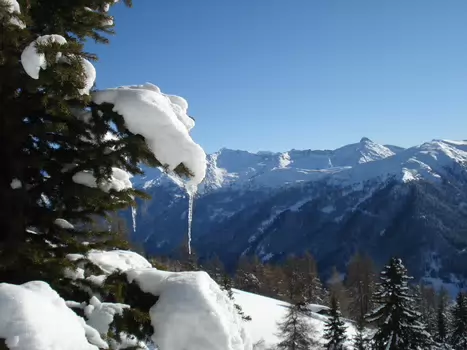 Brenner