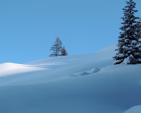 PXL017 neige fraiche et soleil