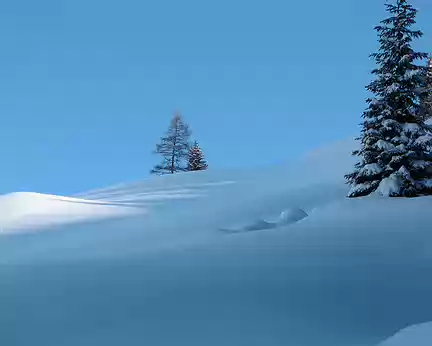 PXL017 neige fraiche et soleil