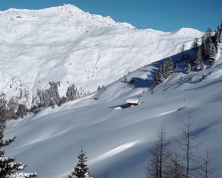 PXL021 neige immaculée devant le Sonnenspitz