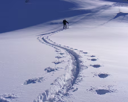 PXL024z2501 plaisir de faire la trace