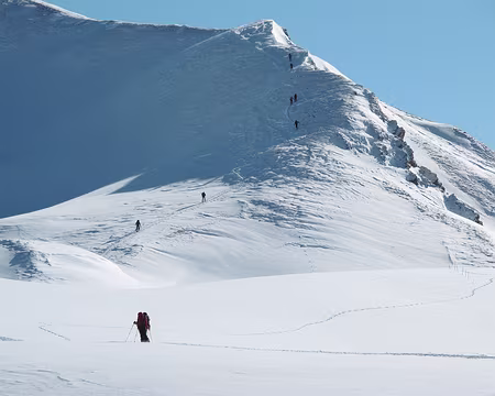 PXL037 nombreux vers le sommet