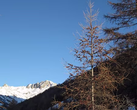 2012-01-09_03 A la Croix de Souliers