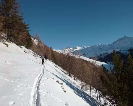 2012-01-09_06 Le long du GR58