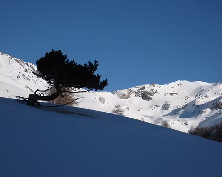 2012-01-09_07 Grand Vallon de Péas