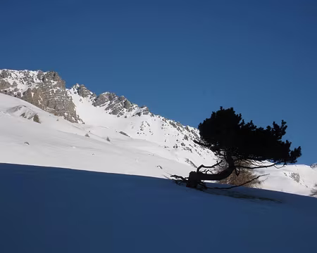 2012-01-09_08 Grand Vallon de Péas