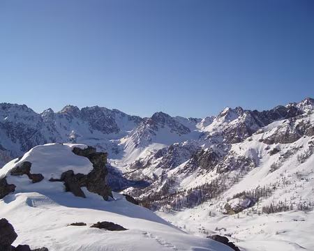 PXL028 Oserot Peroni Vanclava Tête de moîse