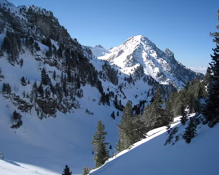 2012-03-09_15 Combe de Jasse Bralard, Grand Eulier