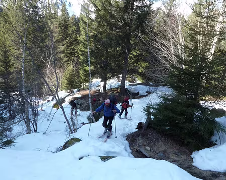 PXL003 montée a tre la tête par le chemin d'été