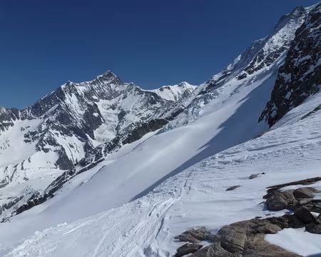 PXL096 aiguille de bionassay