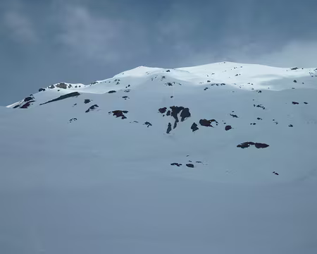 PXL036 Sommet du Buet