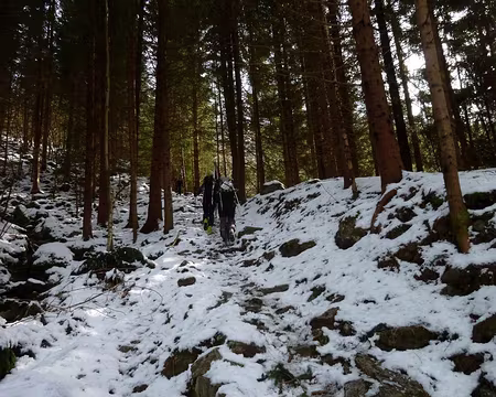 2012-04-07_03 Départ en forêt pour le Skala