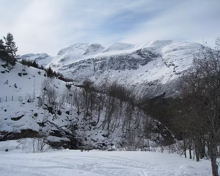 2012-04-07_06 Sortie de la forêt vers 500 m