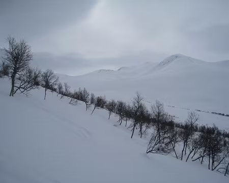 2012-04-09_06 Montée au Stadheimsnibba