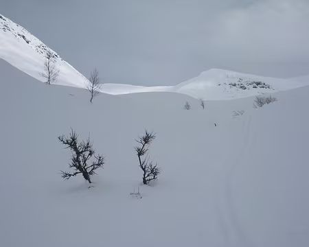 2012-04-11_52 Montée vers le Grandevatnet