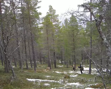2012-04-14_16 Fin de la descente en forêt
