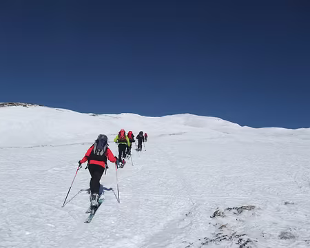 PXL004 Pointe Leysser